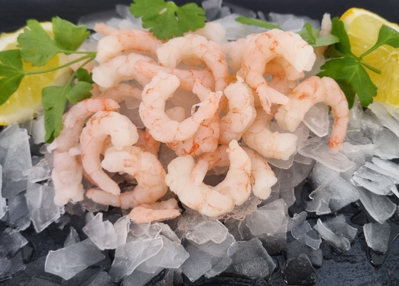 Cold water prawns